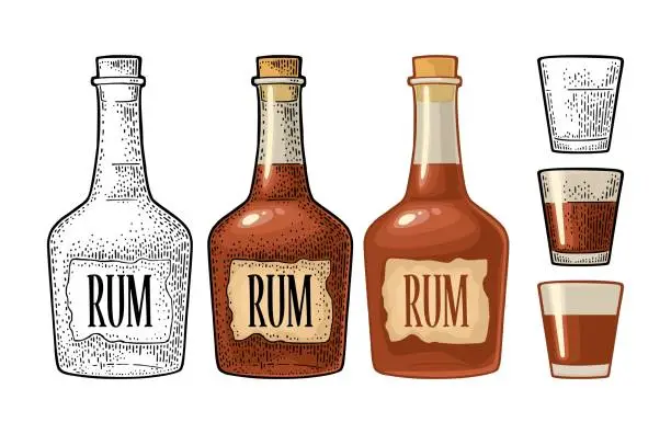 Vector illustration of Bottle and glass rum with craft label. Vintage color engraving