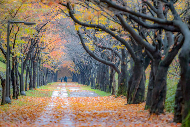 istock VH549 Kiss Road 1065610428