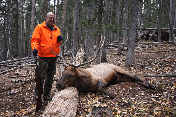 elk cacciatore - dead animal foto e immagini stock