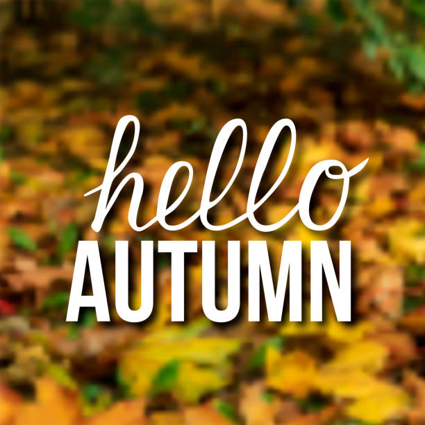 istock Writing “Hello autumn” on blurred background of colorful fallen leaves. Autumn vector illustration. 1065623966