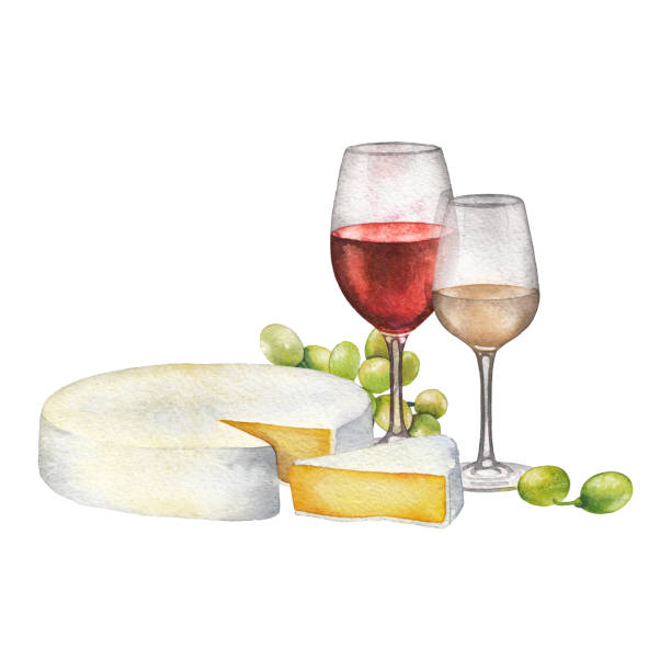 ilustrações, clipart, desenhos animados e ícones de aquarela copos de vinhos tintos e brancos, queijo e uvas brancas - dry wine