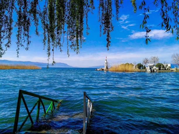 istock landscape in the lake 1065630074