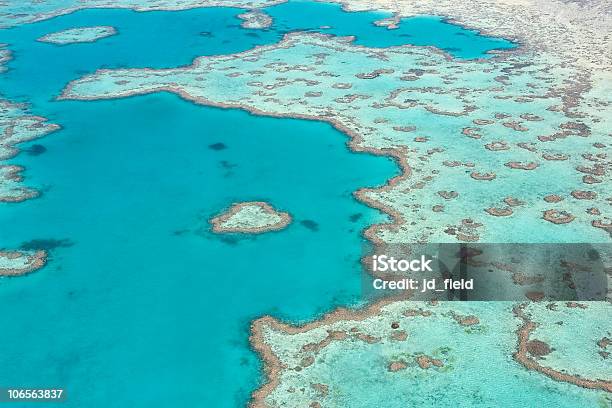 Great Barrier Reef Stock Photo - Download Image Now - Aerial View, Australia, Awe