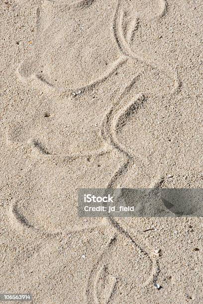Foto de Snake Faixas Na Areia e mais fotos de stock de Areia - Areia, Escrita Chinesa, Fotografia - Imagem