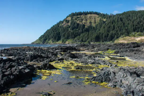 Photo of Rocky ocean shoreline during low tide at the Scenic Cape Perpetua area along the Oregon Coast, along the Pacific Coast Highway