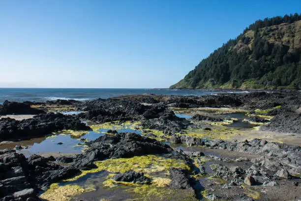 Photo of Rocky ocean shoreline during low tide at the Scenic Cape Perpetua