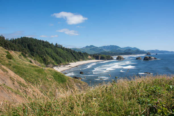 istock Ecola State Park in Oregon on a sunny summer day 1065642550
