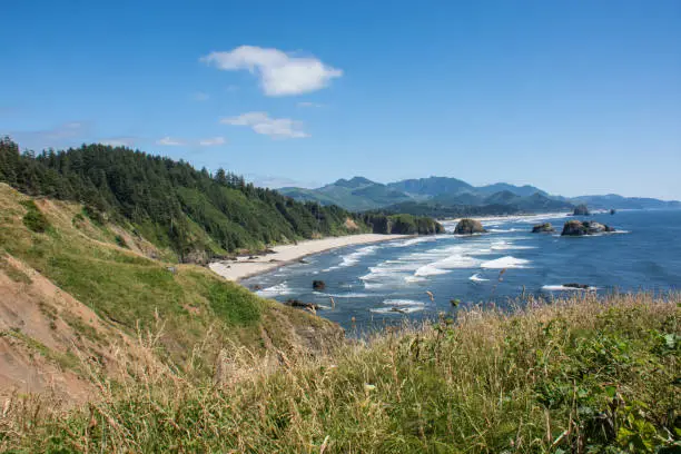 Ecola State Park in Oregon on a sunny summer day