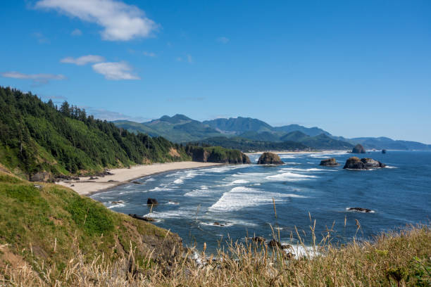 istock Ecola State Park in Oregon on a sunny summer day 1065642654