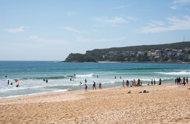 맨리 해변 생활 - manly beach summer beach pacific ocean 뉴스 사진 이미지