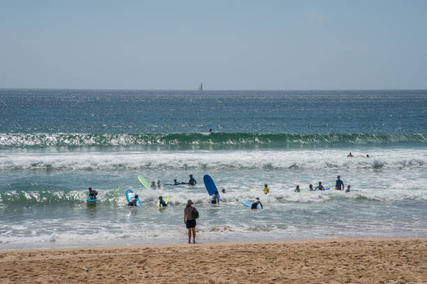 맨리 비치에서 서핑 연습 - manly beach summer beach pacific ocean 뉴스 사진 이미지