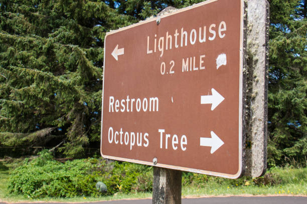 istock Sign in Cape Meares Oregon telling visitors directions 1065643256