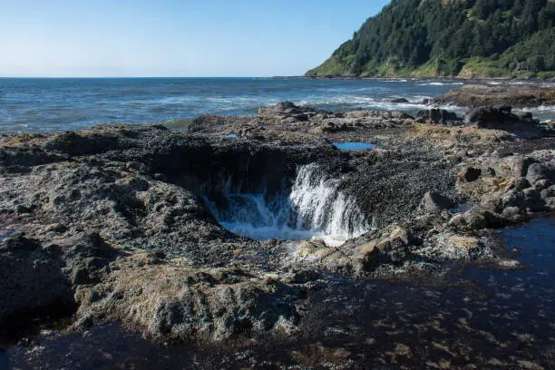 Thors Well, a natural rock feature in Cape Perpetua on the Oregon Coast, is not impressive or as scary during low tide, though getting to close is still very dangerous.