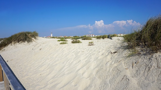 View on the young dunes on the island of Ameland, Netherlands facing the North Sea