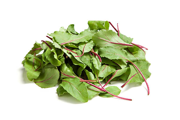 insalata mangold - beet common beet isolated sugar beet foto e immagini stock