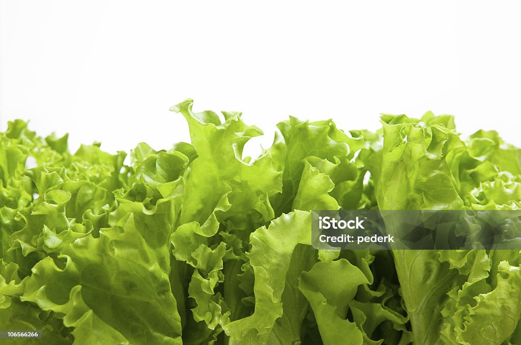 Frischer Salat - Lizenzfrei Farbbild Stock-Foto