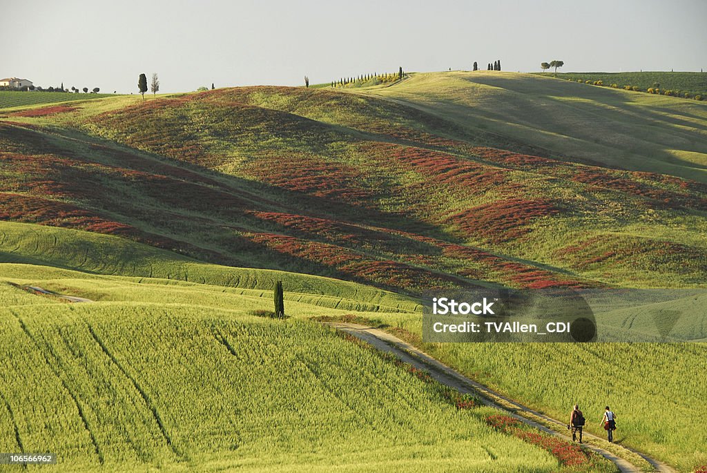 Andar na Toscana - Royalty-free Andar Foto de stock