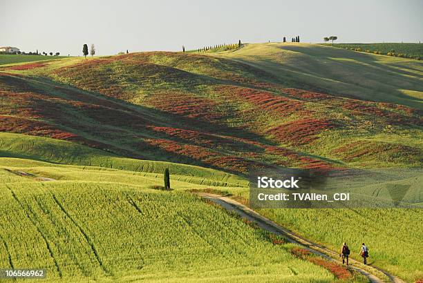 Andar Na Toscana - Fotografias de stock e mais imagens de Andar - Andar, Toscana - Itália, Trilho