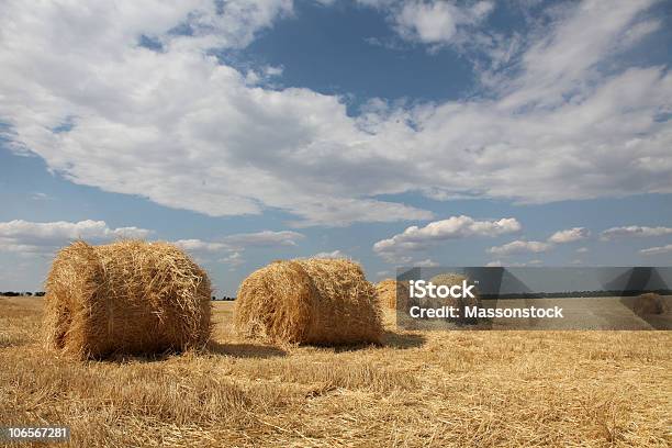 Golden Feno Fardos No Campo - Fotografias de stock e mais imagens de Agricultura - Agricultura, Ao Ar Livre, Azul