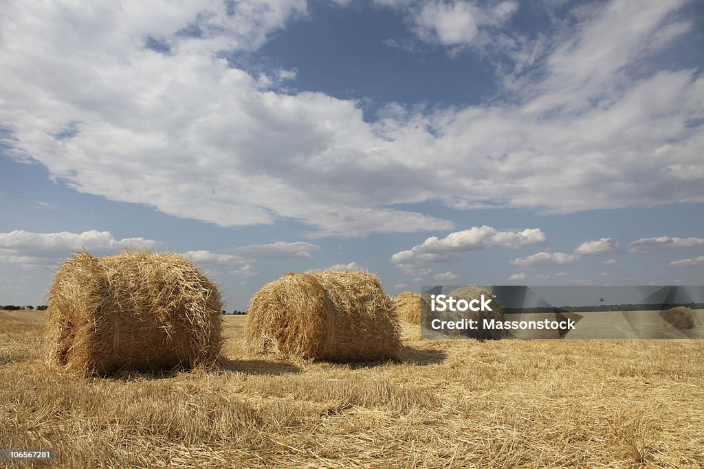 Золотой Сено Bales в сельской местности - Стоковые фото Без людей роялти-фри