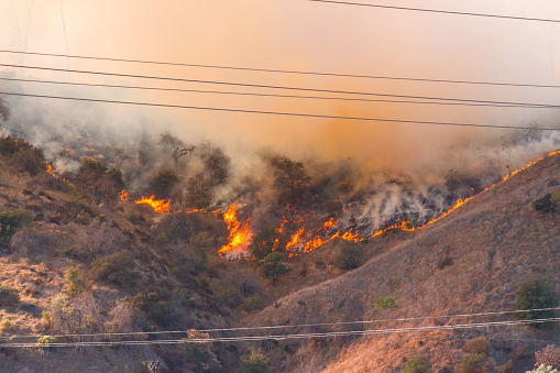 Photograph of the Griffith Park brush wildfire and the Woolsey fire in California