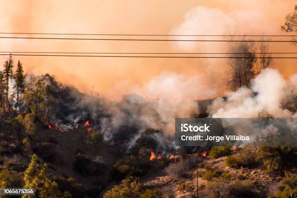 Photograph Of The Griffith Park Brush Wildfire And The Woolsey Fire In California Stock Photo - Download Image Now