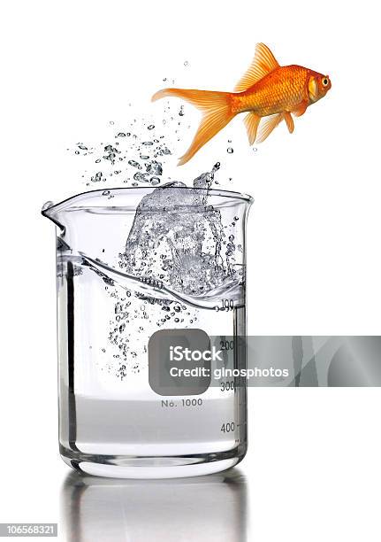 Goldfish Jumping Out Of Laboratory Beaker Stock Photo - Download Image Now - Beaker, Fish, Abstract