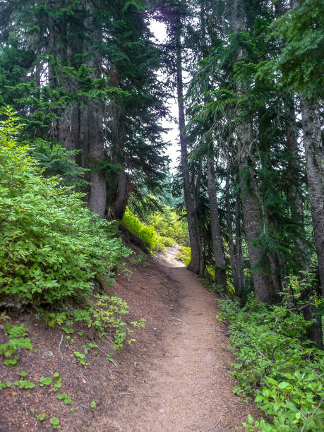 Trail to Lake Valhalla, Washington stock photo