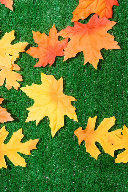 Fall colors on the grass stock photo