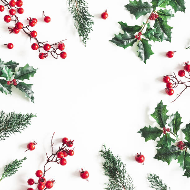 istock Christmas composition. Frame made of christmas plants on white background. Flat lay, top view, copy space 1065699062