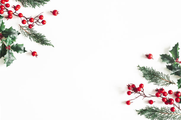 istock Christmas composition. Frame made of christmas plants on white background. Flat lay, top view, copy space 1065699070