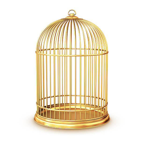 istock A golden vintage birdcage on a white background 106572282