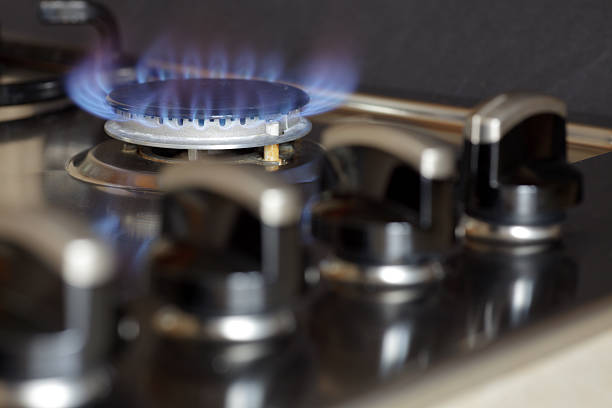 istock Flames of gas stove 106573037