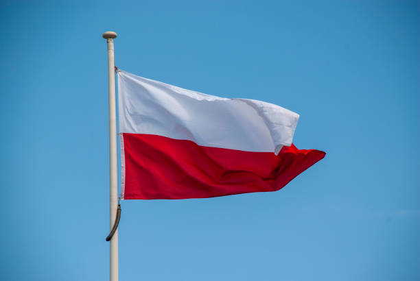 istock Flag of poland 1065730766
