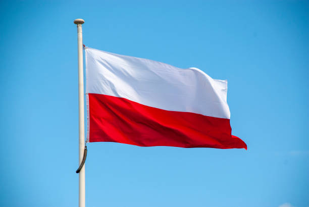 Flag of poland Flag of poland on a pole poland stock pictures, royalty-free photos & images