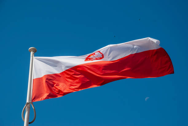 istock Flag of poland 1065730952
