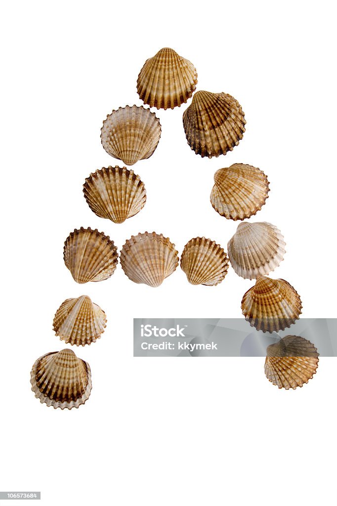 Isolato shell Lettera A - Foto stock royalty-free di Alfabeto