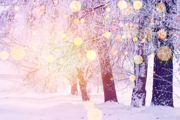istock Christmas background. Frosty trees with sun magic bokeh in sunlight. 1065738134