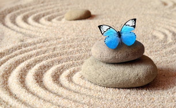 istock A blue vivid butterfly on a zen stone with circle patterns in the grain sand. 1065746780