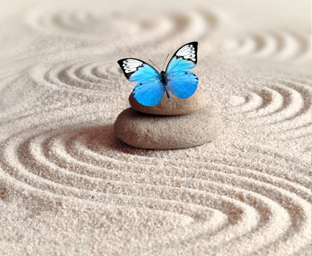 istock A blue vivid butterfly on a zen stone with circle patterns in the grain sand. 1065746786