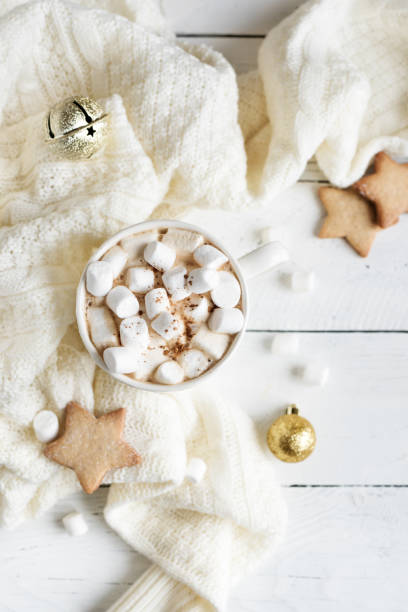 istock Christmas Hot chocolate with marshmallows 1065746968