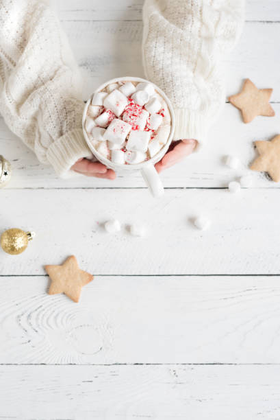 istock Christmas Hot chocolate with marshmallows 1065747054