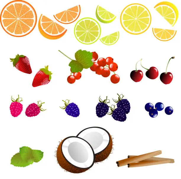 Vector illustration of Assorted Fruits and Flavors