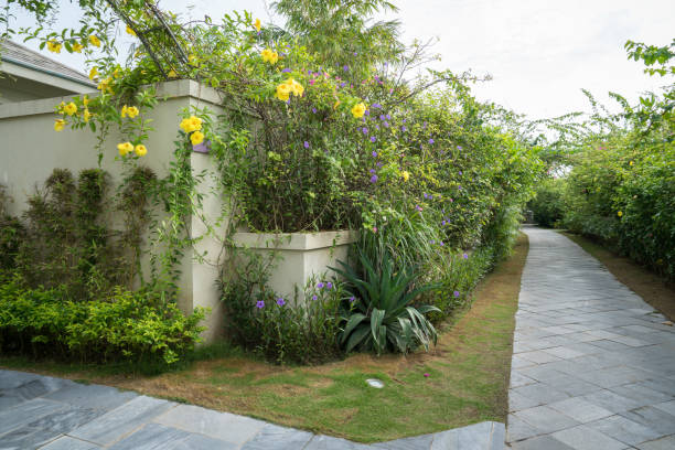 istock Villa path way at the tropical resort 1065762588