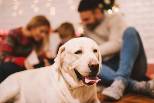 istock Happy family christmas eve. 1065767968