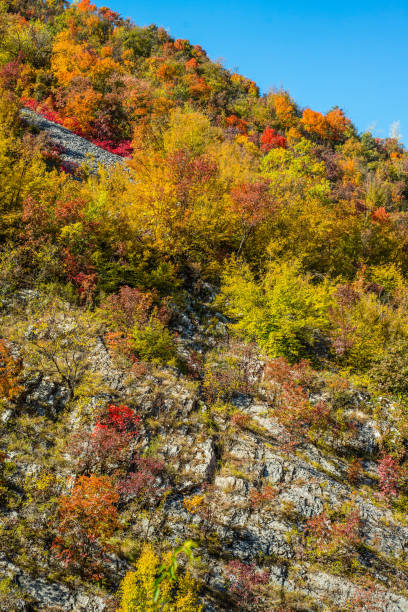 istock Mountain landscape woods,hills, clouds and sky, Serbia 1065769630