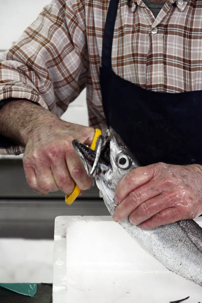 istock man on the fish market 1065770042