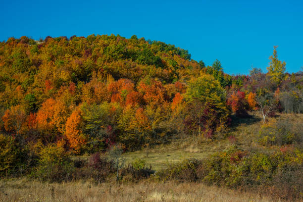 istock Mountain landscape woods,hills, clouds and sky, Serbia 1065772268