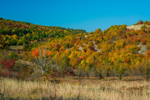 istock Mountain landscape woods,hills, clouds and sky, Serbia 1065772580