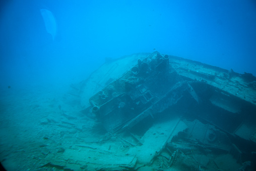 A group of fish swimming around a wrecked ship which is covered in sand